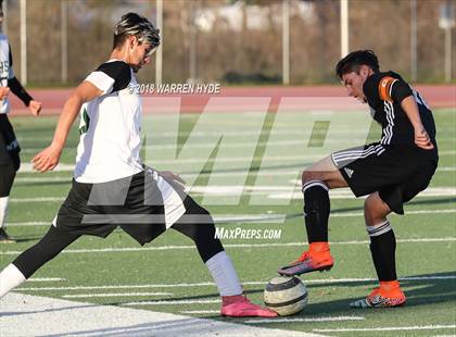 Thumbnail 2 in Sheldon @ Monterey Trail photogallery.