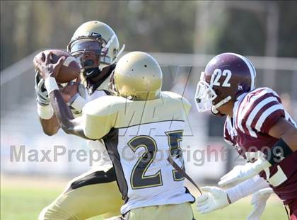 Thumbnail 1 in Serra @ Kearny photogallery.