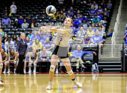 Thumbnail 2 in Veribest vs. Blum (UIL Volleyball 1A Semi-Finals)  photogallery.
