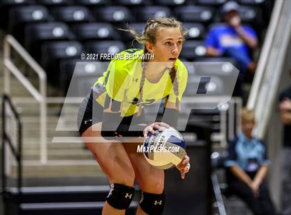 Thumbnail 1 in Veribest vs. Blum (UIL Volleyball 1A Semi-Finals)  photogallery.