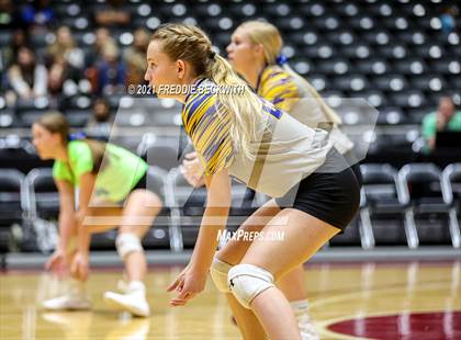 Thumbnail 2 in Veribest vs. Blum (UIL Volleyball 1A Semi-Finals)  photogallery.