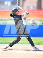 Photo from the gallery "Clearfield @ Fremont"