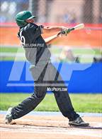 Photo from the gallery "Clearfield @ Fremont"