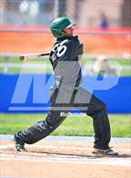 Photo from the gallery "Clearfield @ Fremont"