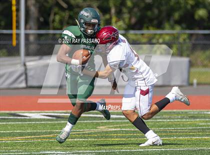 Thumbnail 1 in William Floyd @ Sachem East photogallery.
