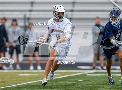 Thumbnail 3 in Pope @ Lambert photogallery.
