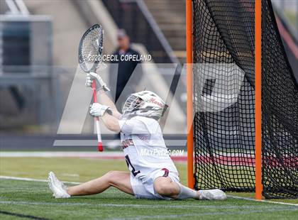 Thumbnail 1 in Pope @ Lambert photogallery.