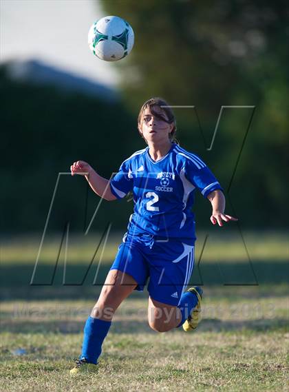 Thumbnail 3 in Roslyn @ West Hempstead photogallery.