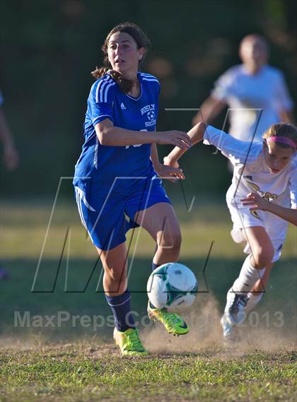 Thumbnail 1 in Roslyn @ West Hempstead photogallery.