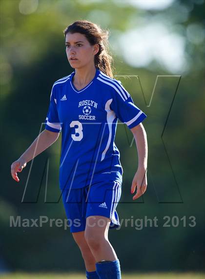 Thumbnail 3 in Roslyn @ West Hempstead photogallery.