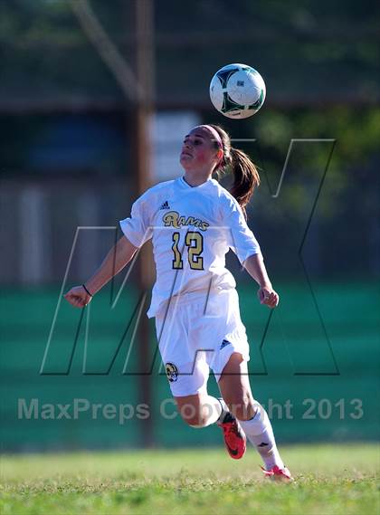 Thumbnail 3 in Roslyn @ West Hempstead photogallery.