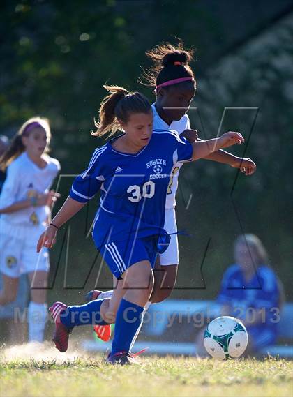 Thumbnail 3 in Roslyn @ West Hempstead photogallery.