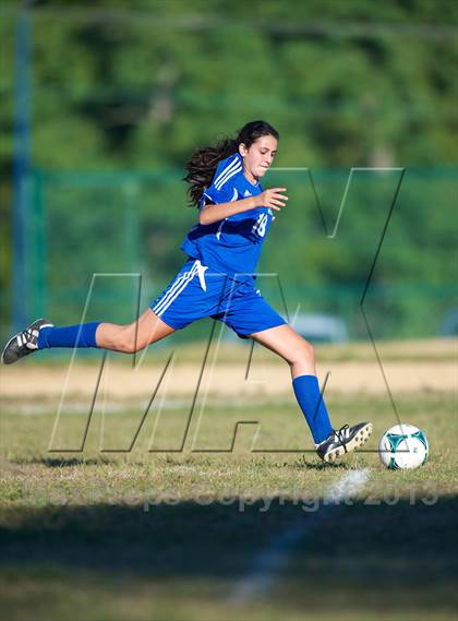 Thumbnail 3 in Roslyn @ West Hempstead photogallery.