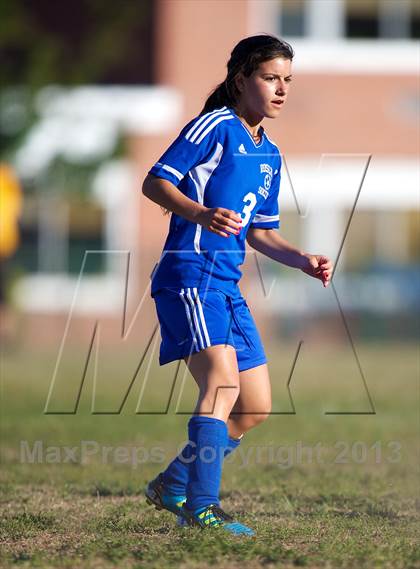 Thumbnail 3 in Roslyn @ West Hempstead photogallery.