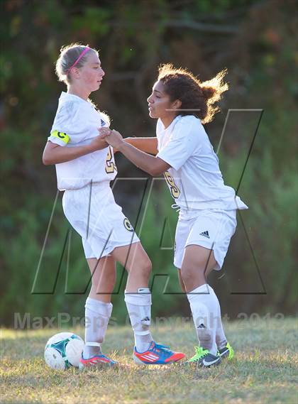 Thumbnail 3 in Roslyn @ West Hempstead photogallery.