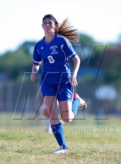 Thumbnail 3 in Roslyn @ West Hempstead photogallery.