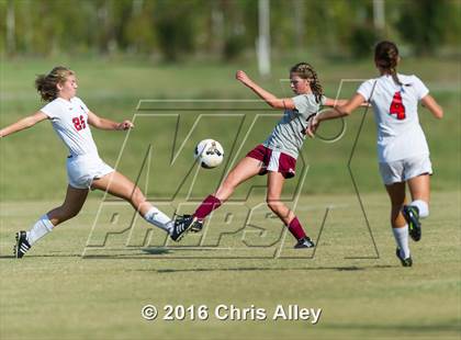 Thumbnail 1 in Maryville vs. Dobyns-Bennett photogallery.