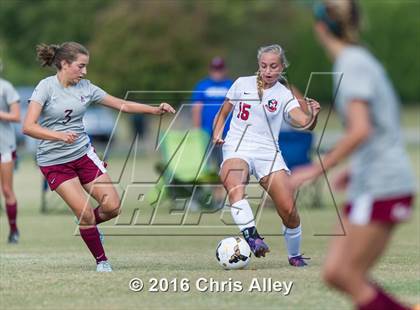 Thumbnail 2 in Maryville vs. Dobyns-Bennett photogallery.