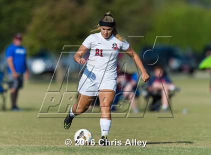 Thumbnail 3 in Maryville vs. Dobyns-Bennett photogallery.