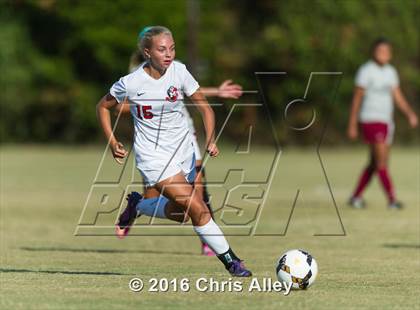 Thumbnail 2 in Maryville vs. Dobyns-Bennett photogallery.
