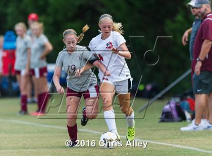 Thumbnail 2 in Maryville vs. Dobyns-Bennett photogallery.