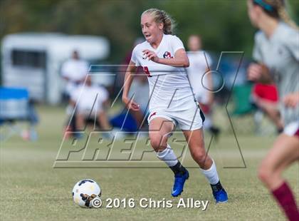 Thumbnail 3 in Maryville vs. Dobyns-Bennett photogallery.