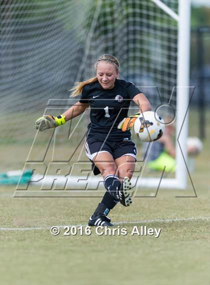 Thumbnail 2 in Maryville vs. Dobyns-Bennett photogallery.