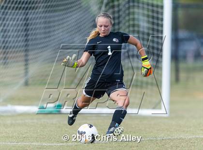 Thumbnail 1 in Maryville vs. Dobyns-Bennett photogallery.