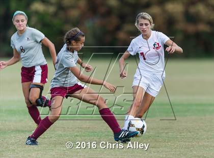 Thumbnail 3 in Maryville vs. Dobyns-Bennett photogallery.