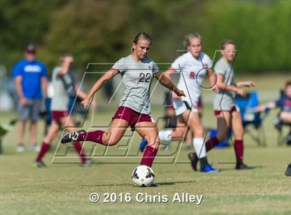 Thumbnail 1 in Maryville vs. Dobyns-Bennett photogallery.