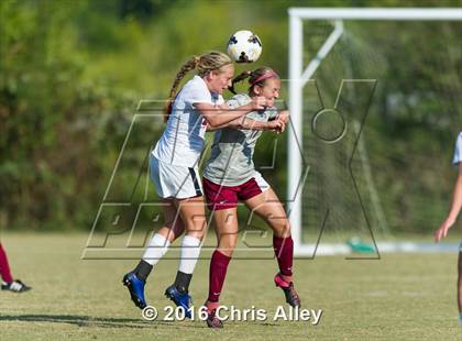Thumbnail 3 in Maryville vs. Dobyns-Bennett photogallery.