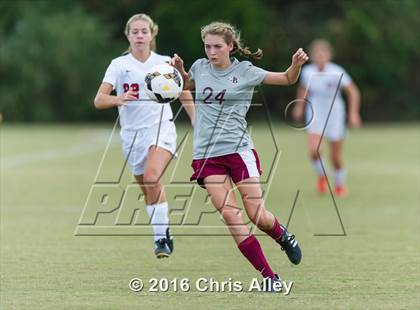 Thumbnail 3 in Maryville vs. Dobyns-Bennett photogallery.