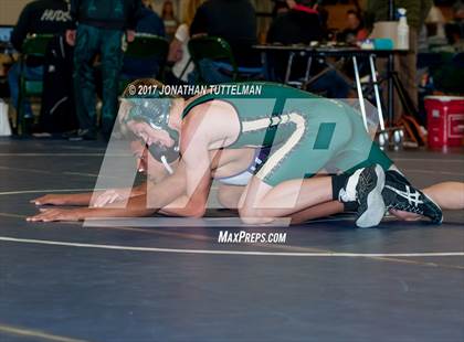 Thumbnail 1 in Falcon vs Mesa Ridge (Battle of the Best) photogallery.
