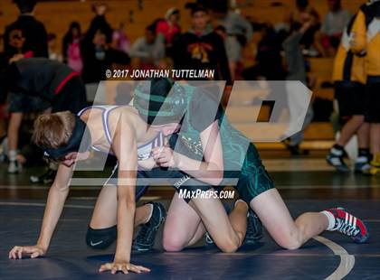 Thumbnail 1 in Falcon vs Mesa Ridge (Battle of the Best) photogallery.