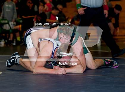 Thumbnail 1 in Falcon vs Mesa Ridge (Battle of the Best) photogallery.