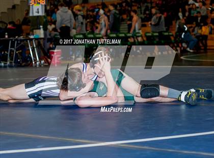 Thumbnail 1 in Falcon vs Mesa Ridge (Battle of the Best) photogallery.