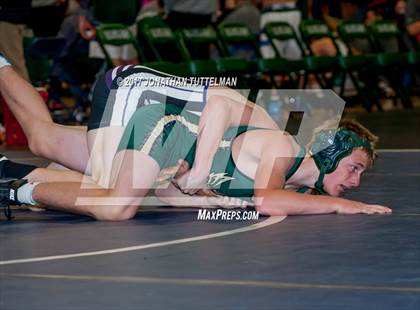 Thumbnail 1 in Falcon vs Mesa Ridge (Battle of the Best) photogallery.