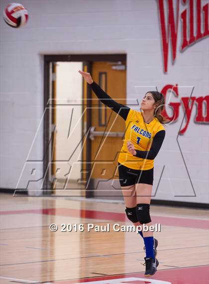 Thumbnail 1 in Carl Hayden @ Paradise Valley photogallery.