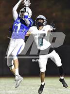 Photo from the gallery "Spanaway Lake @ Liberty"