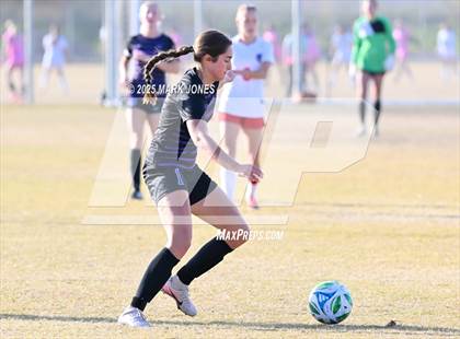 Thumbnail 1 in Coconino vs. Northwest Christian (Ben Franklin Winter Classic) photogallery.