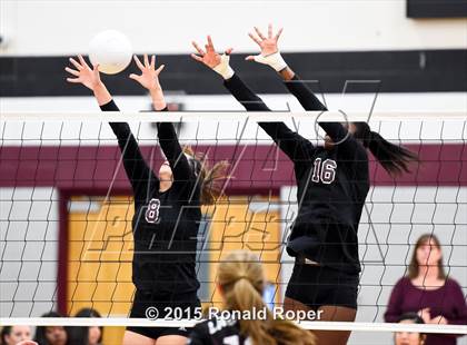 Thumbnail 3 in Sherman @ Wylie photogallery.