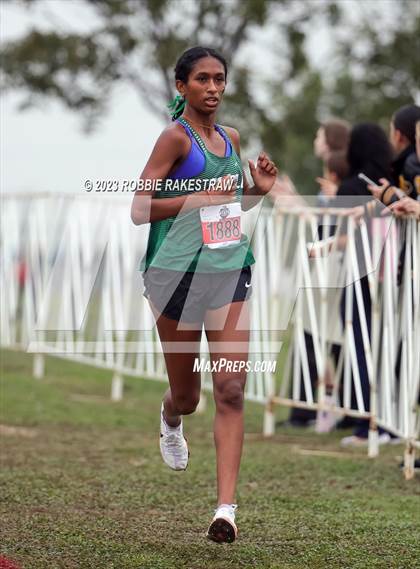 Thumbnail 3 in UIL Cross Country 6A Finals (5K) photogallery.