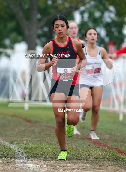 Thumbnail 1 in UIL Cross Country 6A Finals (5K) photogallery.