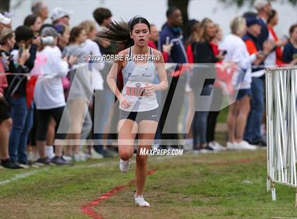 Thumbnail 1 in UIL Cross Country 6A Finals (5K) photogallery.