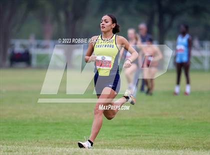 Thumbnail 1 in UIL Cross Country 6A Finals (5K) photogallery.