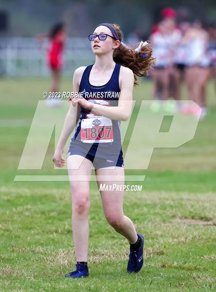 Thumbnail 3 in UIL Cross Country 6A Finals (5K) photogallery.