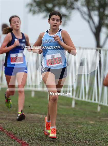 Thumbnail 1 in UIL Cross Country 6A Finals (5K) photogallery.