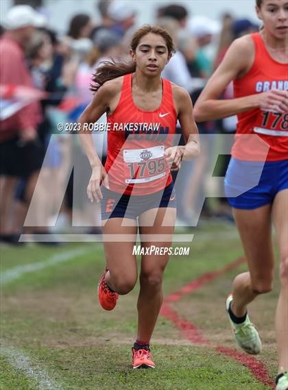 Thumbnail 2 in UIL Cross Country 6A Finals (5K) photogallery.