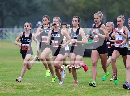 Thumbnail 1 in UIL Cross Country 6A Finals (5K) photogallery.