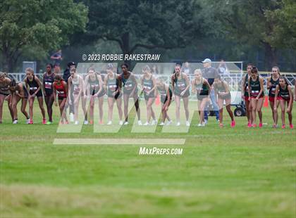Thumbnail 1 in UIL Cross Country 6A Finals (5K) photogallery.